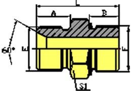 X1F62Ӣ/OȦ